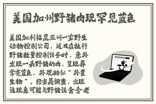 中文字字幕高清乱码